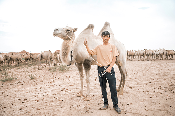 【视频】最好的驼奶在新疆: 如何评价骆驼乳的营养价值？骆驼乳对人体有哪些好处？